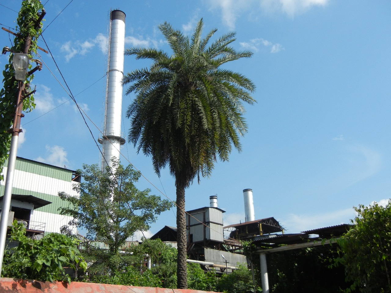 Sugar Dust Collection System